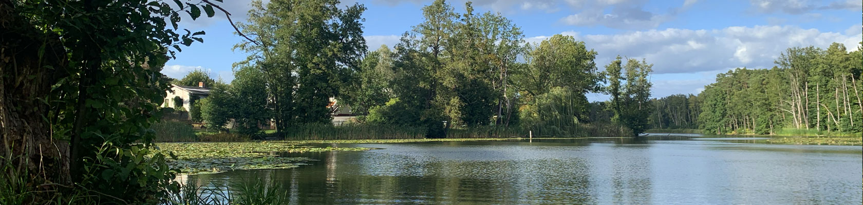 Ein See in ländlicher Gegend mit einem bewachsenen Ufer.