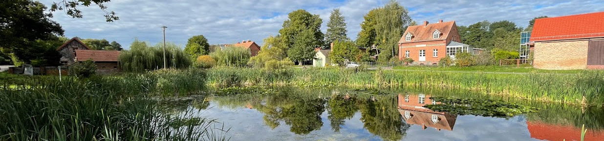 Blick über den Dorfteich auf Ritz Neuendorf