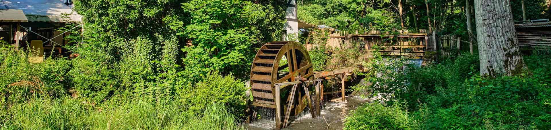 Wassermühlrad der Bremsdorfer Mühle umgeben von Sträuchern und Bäumen.