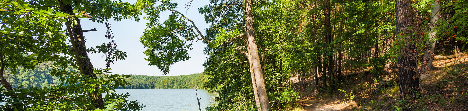 Wanderweg im Wald, entlang des Müllroser Sees