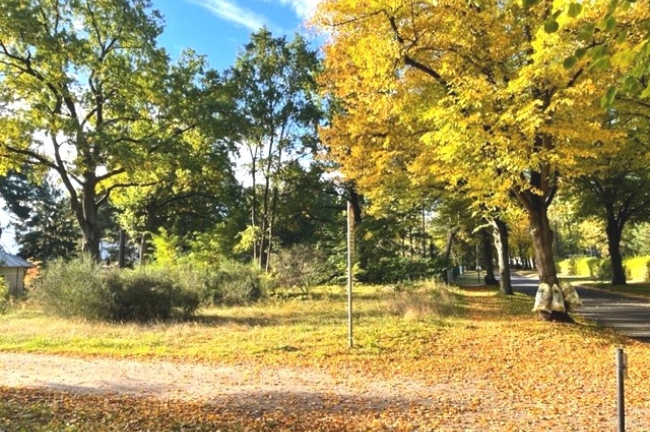 Seitenansicht