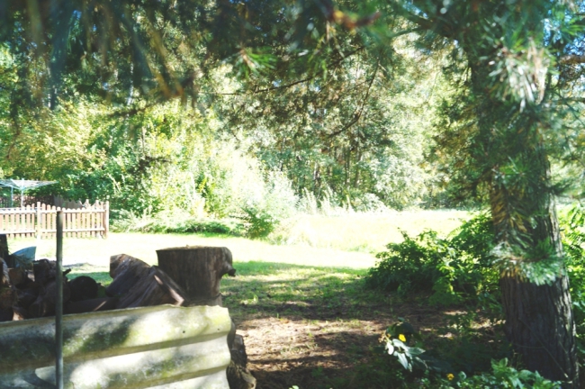 Garten hinten