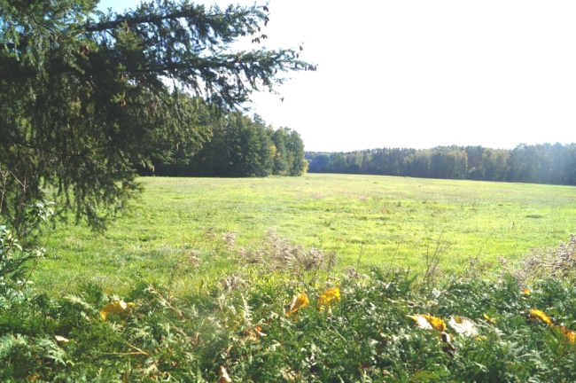 Umgebung