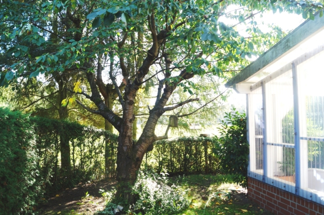 Veranda linksseitig