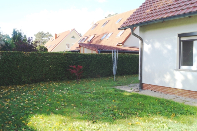 hinterer Garten