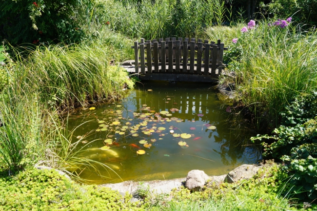 Teich