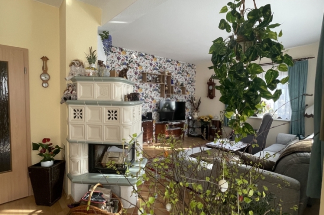 Wohnzimmer EG
