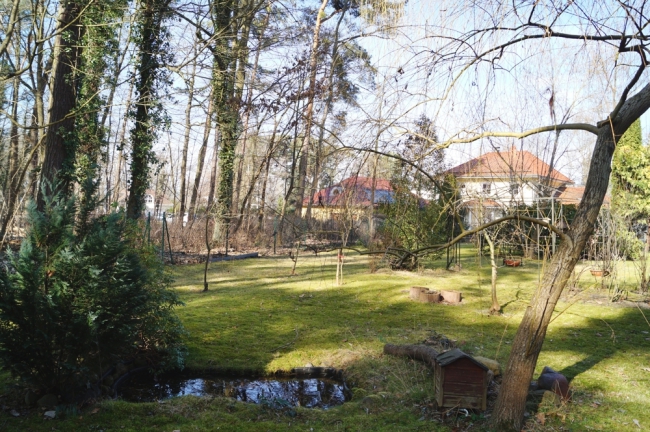 Gartenteich
