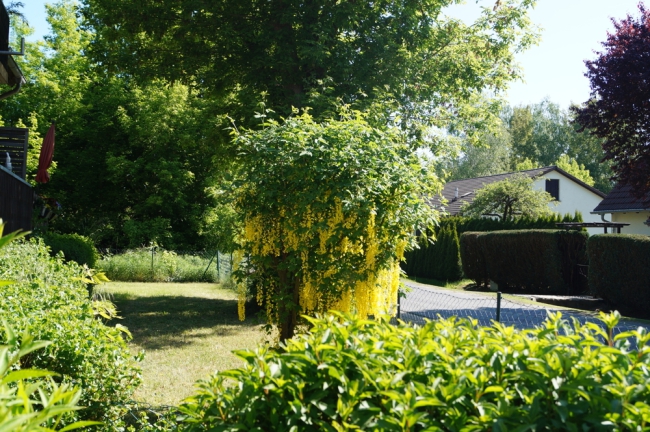 Vorgarten