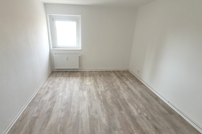Zimmer1