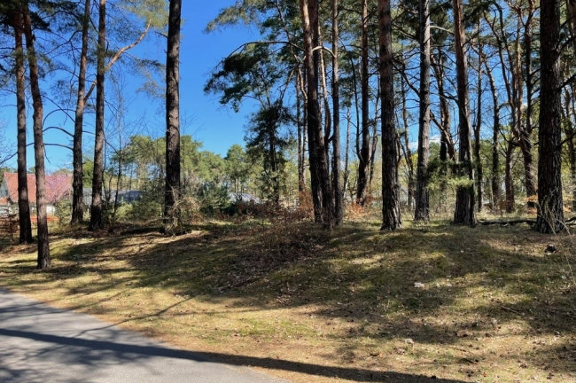 Ihr Traum vom Haus am See in Bad Saarow-Strand – Baugrundstück in Seenähe.