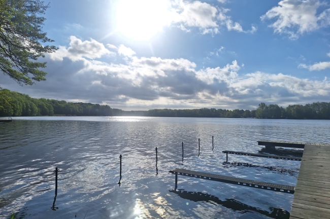 Umgebung Schwielochsee