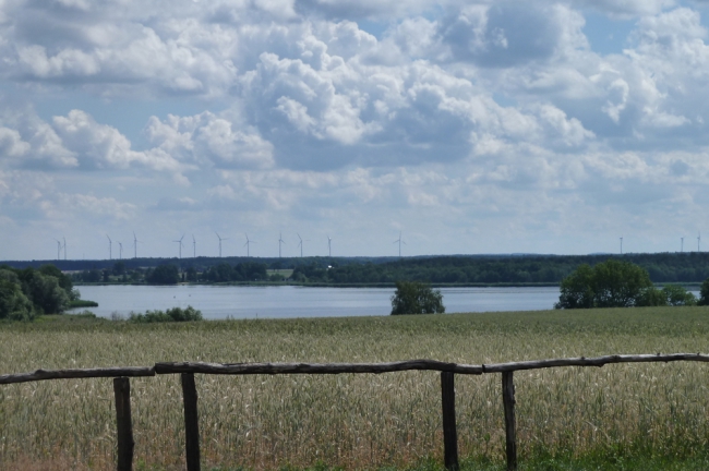 Umgebung Schwielochsee