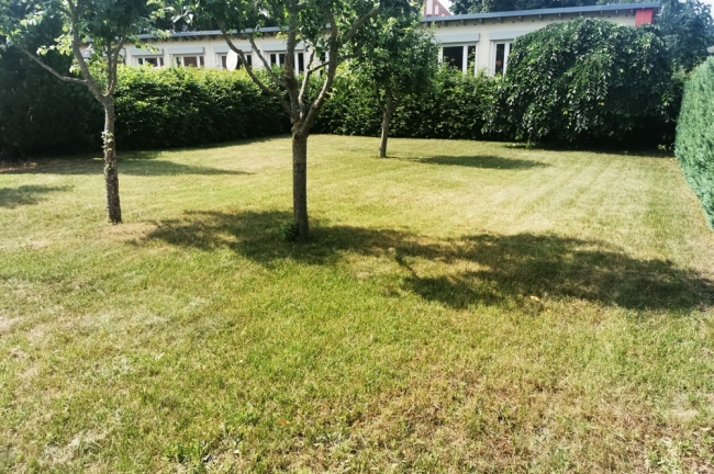 Blick auf das Grundstück