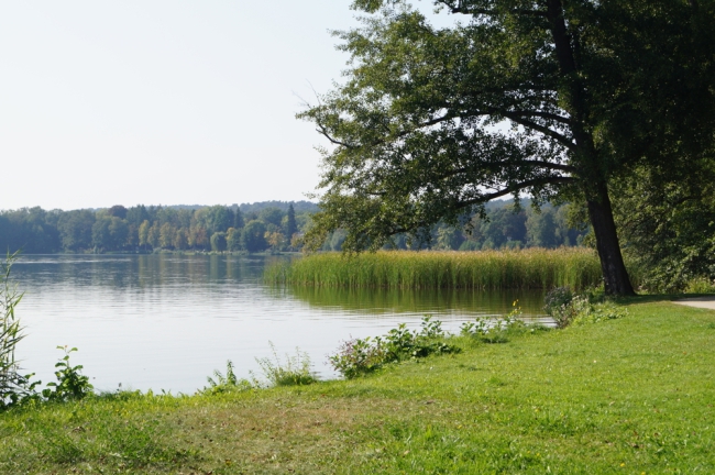 Umgebung