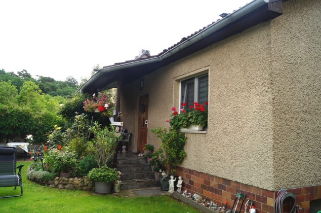 Eingangsbereich gartenseitig