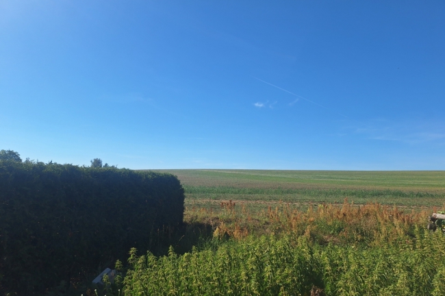 Blick vom Grundstück