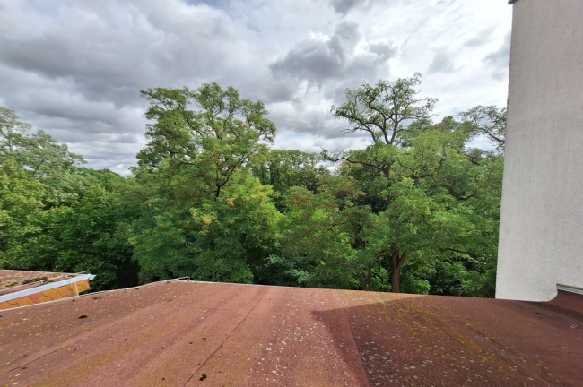 Blick aus dem Flur