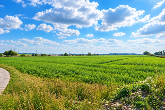 Landschaftsblick