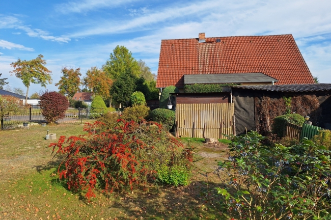 Blick auf das Grundstück